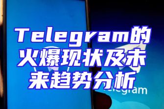 Telegram的火爆现状及未来趋势分析
