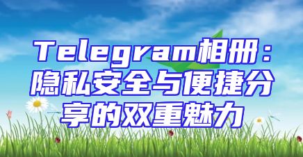 Telegram相册：隐私安全与便捷分享的双重魅力
