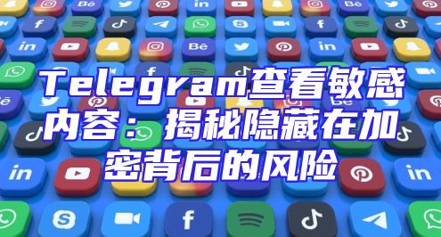 Telegram查看敏感内容：揭秘隐藏在加密背后的风险