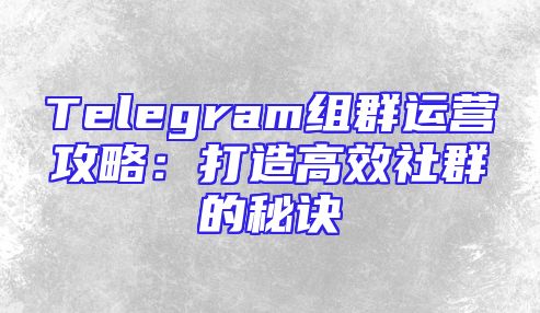 Telegram组群运营攻略：打造高效社群的秘诀