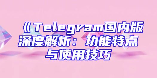 《Telegram国内版深度解析：功能特点与使用技巧