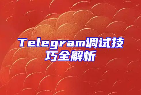 Telegram调试技巧全解析