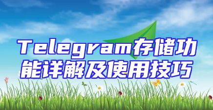 Telegram存储功能详解及使用技巧
