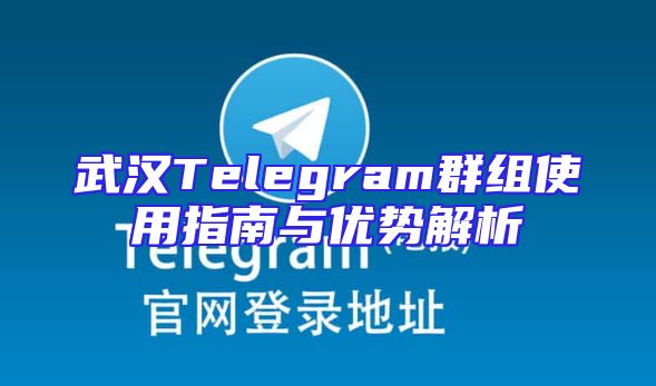 武汉Telegram群组使用指南与优势解析