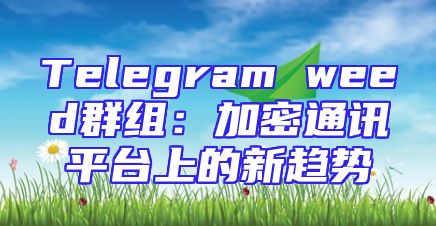 Telegram weed群组：加密通讯平台上的新趋势